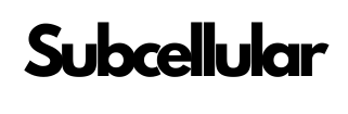 SUBCELLULAR